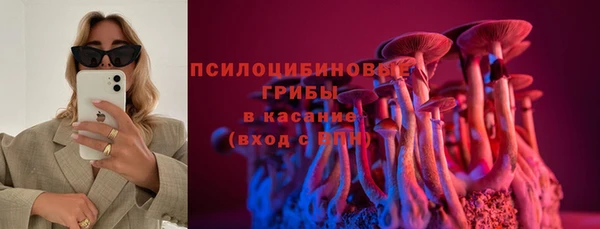 эйфоретик Инта