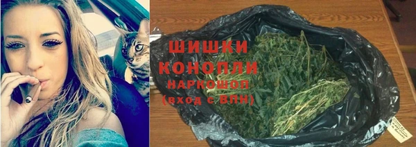 эйфоретик Кинешма