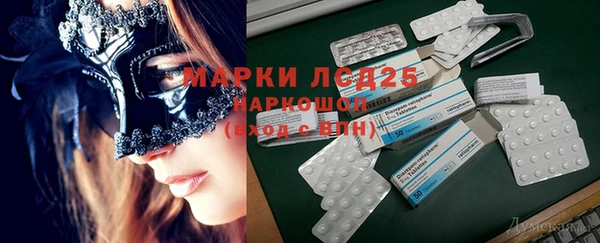 PSILOCYBIN Киренск