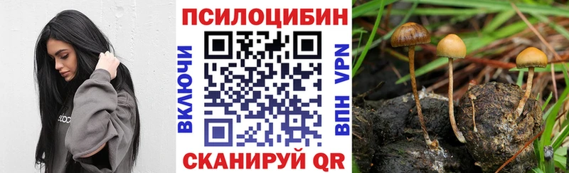 Псилоцибиновые грибы ЛСД  Купить закладки  Краснотурьинск 